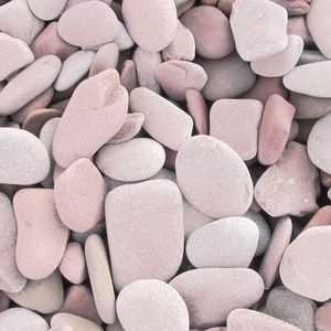 Meet your Posher, Paytan